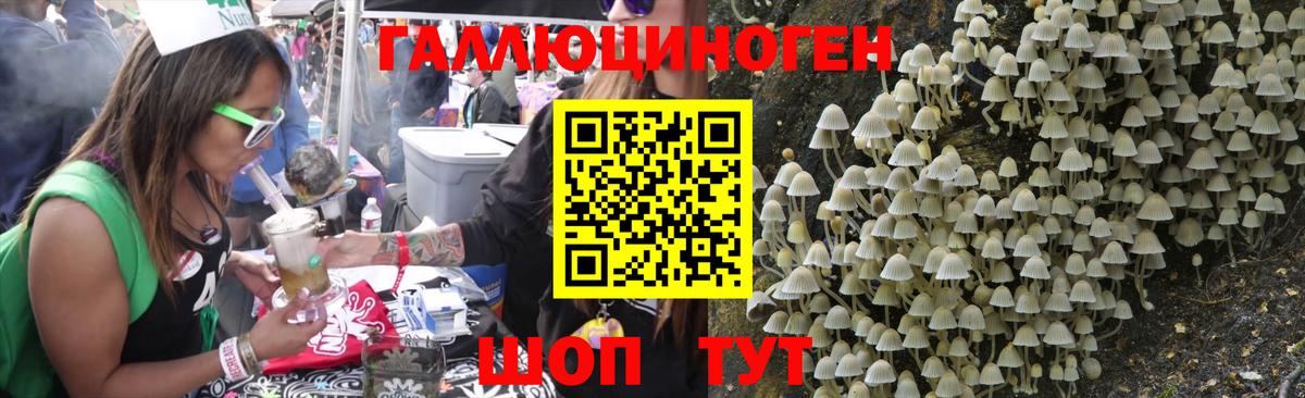 Галлюциногенные грибы Psilocybine cubensis  Вход с VPN  Серов 